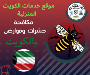 مكافحة حشرات وقوارض