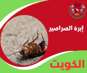 ابرة الصراصير – حل هادي وفعال