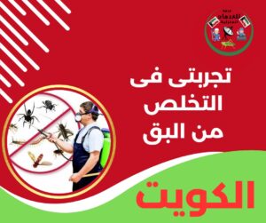 تجربتي في التخلص من البق