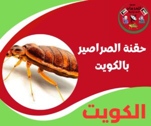 حقنة الصراصير الكويت – الاختيار المناسب للجو عندنا