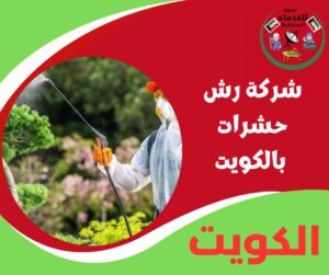 شركة رش حشرات بالكويت دي الخدمة اللي فعلاً بتخلصك من الإزعاج