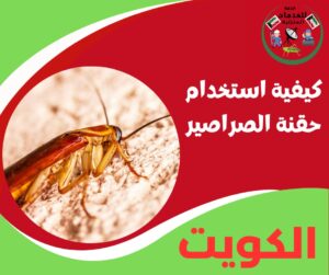 كيفية استخدام حقنة الصراصير – الطريقة الصح من أول مرة