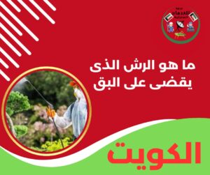 ما هو الرش الذي يقضي على البق؟