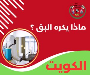 ماذا يكره البق