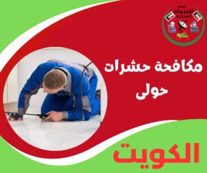 مكافحة حشرات حولي دي أقرب استجابة تقدر تعتمد عليها
