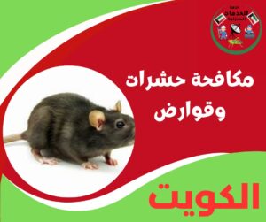 مكافحة حشرات وقوارض دي الخطة اللي بترجع بيتك رايق تاني