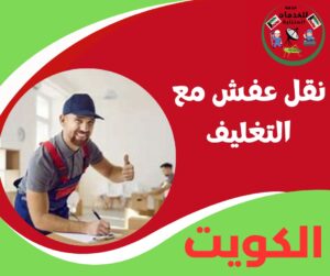 نقل عفش مع التغليف