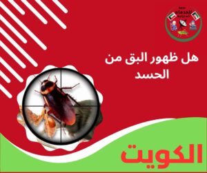 هل ظهور البق من الحسد