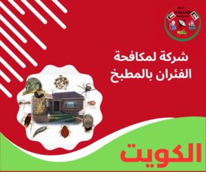 مكافحات فئران شركة لمكافحة الفئران بالمطبخ