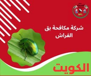 شركة مكافحة بق الفراش شركة مكافحة بق الفراش