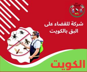شركة للقضاء على البق بالكويت