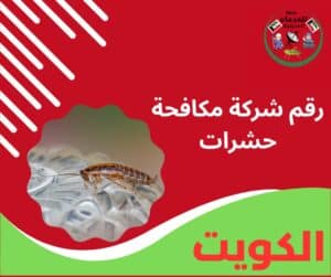 رقم شركة مكافحة حشرات