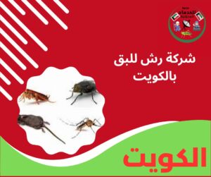 شركة رش للبق بالكويت