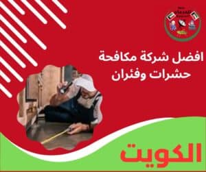 مكافحات فئران افضل شركة مكافحة حشرات وفئران
