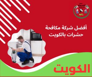 أفضل شركة مكافحة حشرات بالكويت