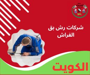 شركات رش بق الفراش