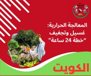 المعالجة الحرارية: غسيل وتجفيف “خطة 24 ساعة”