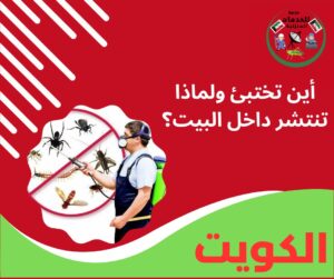أين تختبئ ولماذا تنتشر داخل البيت؟