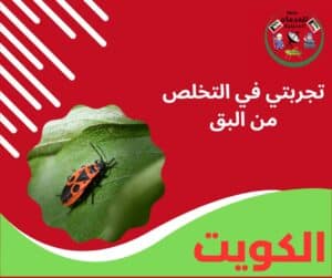 تجربتي في التخلص من البق