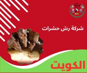 شركة رش صراصير