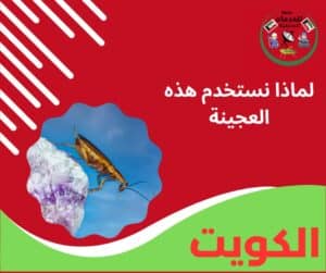 لماذا نستخدم هذه العجينة