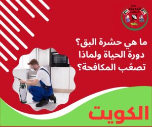 ما هي حشرة البق؟ دورة الحياة ولماذا تصعّب المكافحة؟