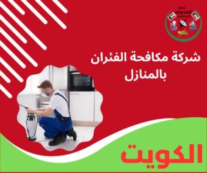 مكافحات فئران شركة مكافحة الفئران بالمنازل