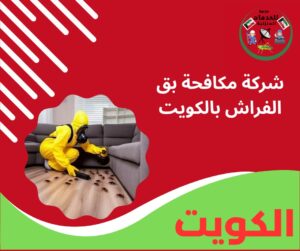 شركة مكافحة بق الفراش بالكويت