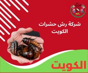 شركة رش حشرات الكويت