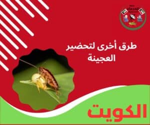 طرق أخرى لتحضير العجينة
