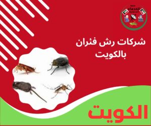 شركات رش فئران بالكويت