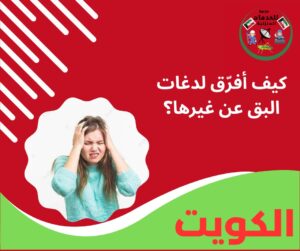 كيف أفرّق لدغات البق عن غيرها؟