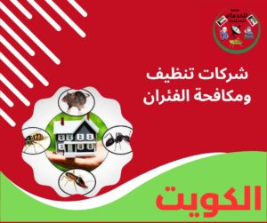 شركات تنظيف ومكافحة الفئران