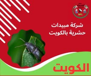 شركة مبيدات حشرية بالكويت