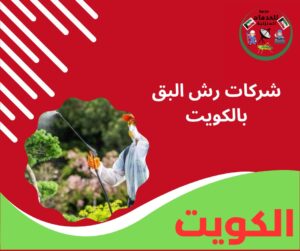 شركات رش البق بالكويت