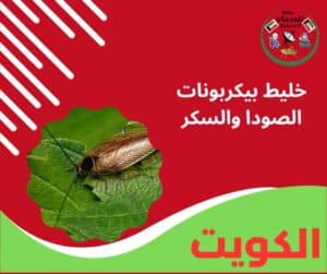خليط بيكربونات الصودا والسكر