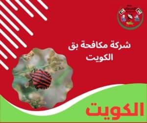 شركة مكافحة بق الكويت