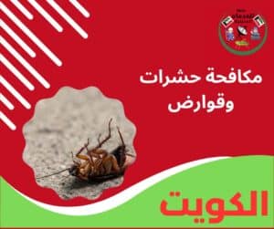 مكافحة حشرات وقوارض