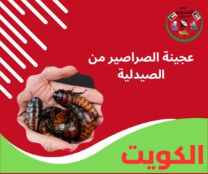 عجينة الصراصير من الصيدلية