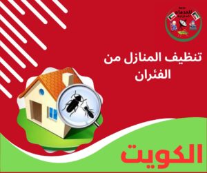تنظيف المنازل من الفئران