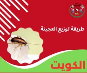 طريقة توزيع العجينة