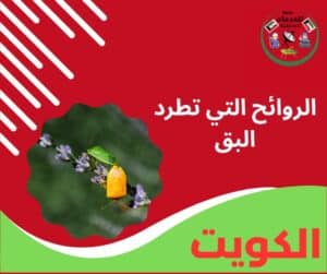 الروائح التي تطرد البق