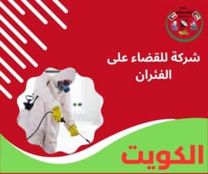 شركة للقضاء على الفئران