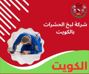 شركة لبخ الحشرات بالكويت