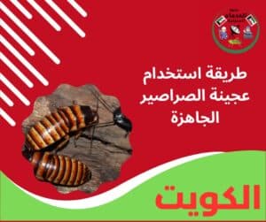 طريقة استخدام عجينة الصراصير الجاهزة