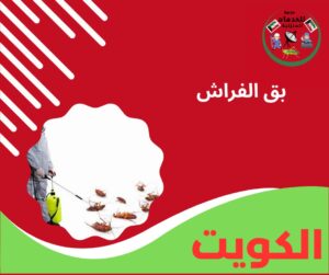 بق الفراش
