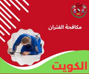 مكافحات فئران مكافحة الفئران