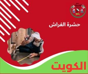 حشرة الفراش
