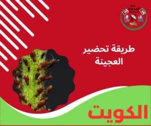 طريقة تحضير العجينة