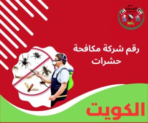 رقم شركة مكافحة حشرات
